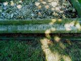 image of grave number 582984